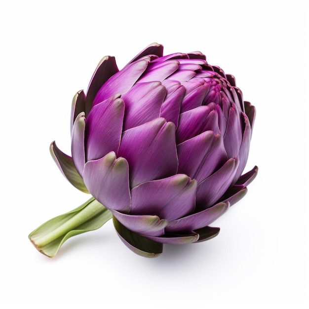 Photo fresh purple artichoke