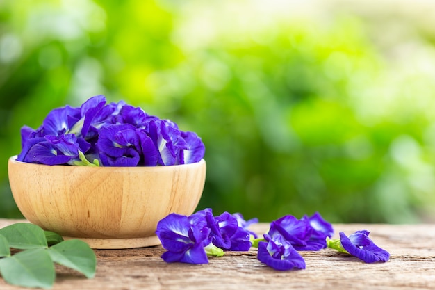 木製のテーブルの背景に新しい紫の蝶のエンドウ豆の花