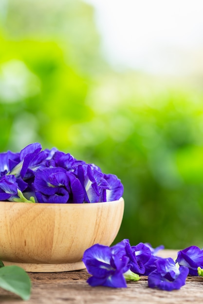 Fresh purple Butterfly pea flower on wooden table background 