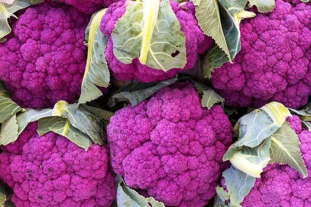 Fresh purple cauliflower in box