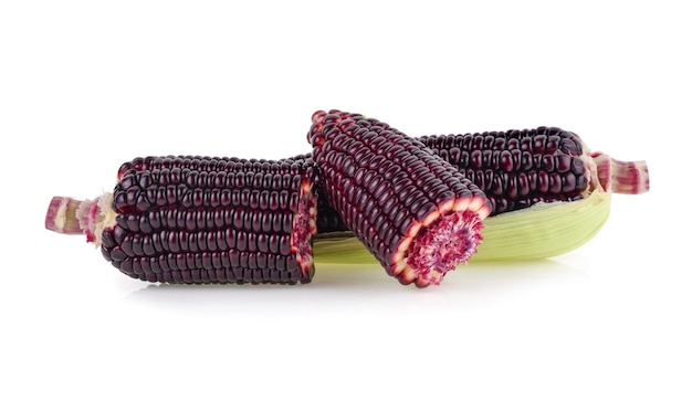 Fresh purple corn isolated on white background