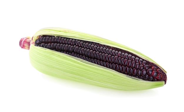 Fresh purple corn isolated on white background