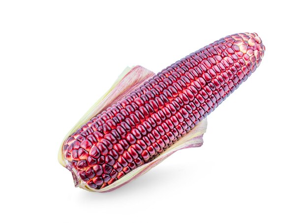Свежая фиолетовая кукуруза на белом фоне