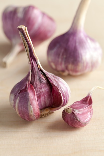 Fresh purple garlic