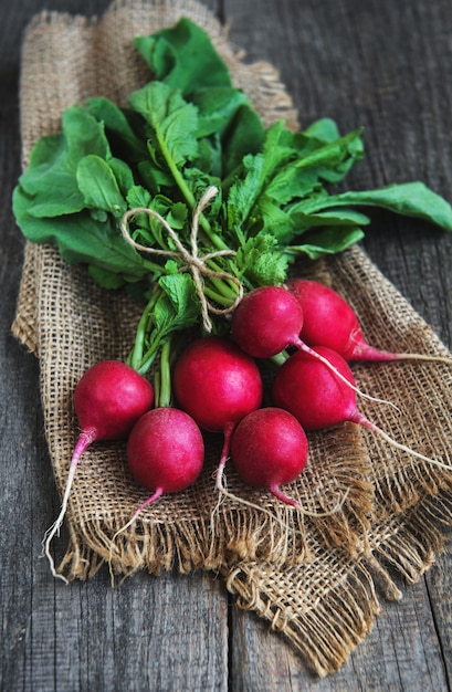 Fresh purple radish