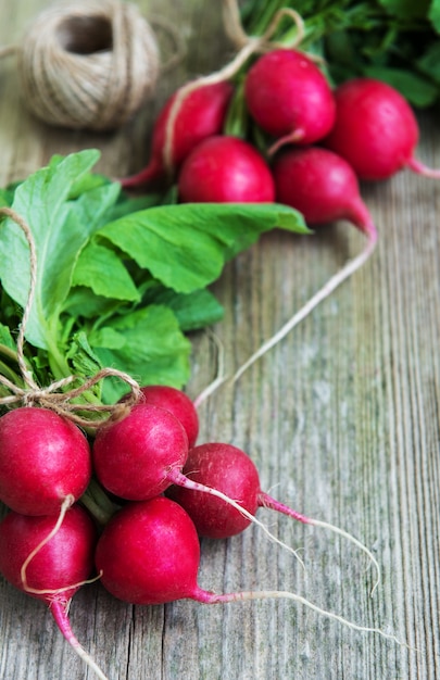 Fresh purple radish