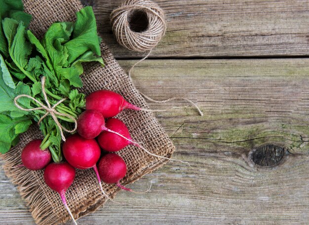 Fresh purple radish