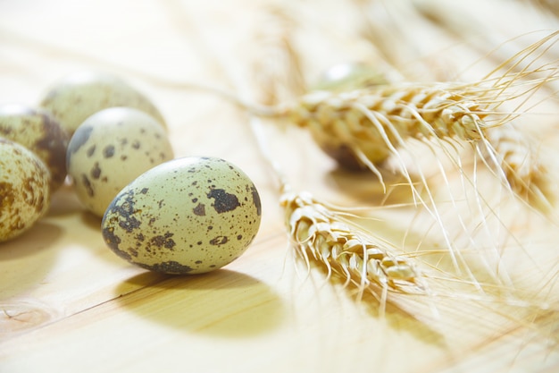 Fresh quail eggs, rustic style on wood surface