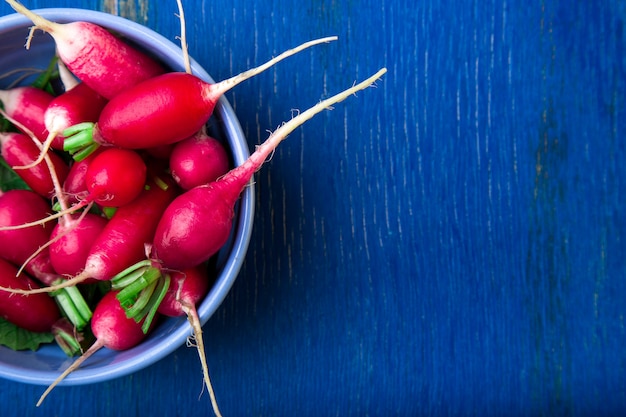 Fresh radish on blue surface