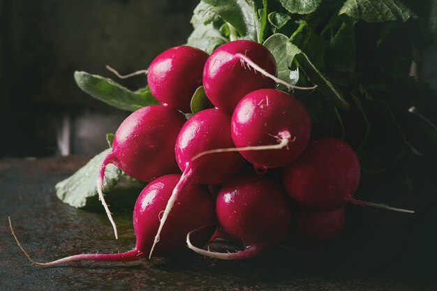 Fresh radish bundle