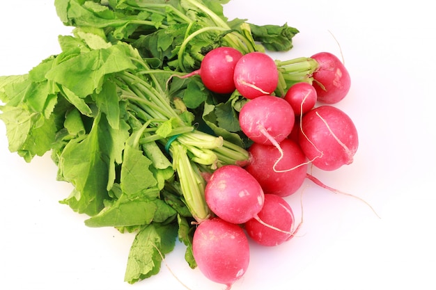 fresh radish on white