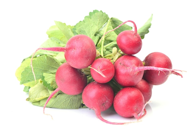 Fresh radish