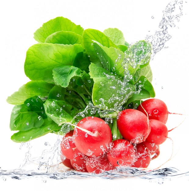 Fresh radishes falling in water