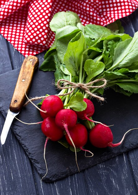 Fresh radishes and knife