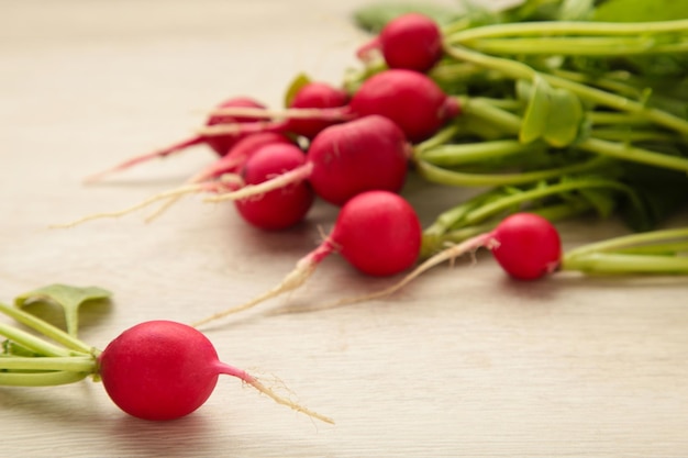 Fresh radishes on light wooden background Space for text