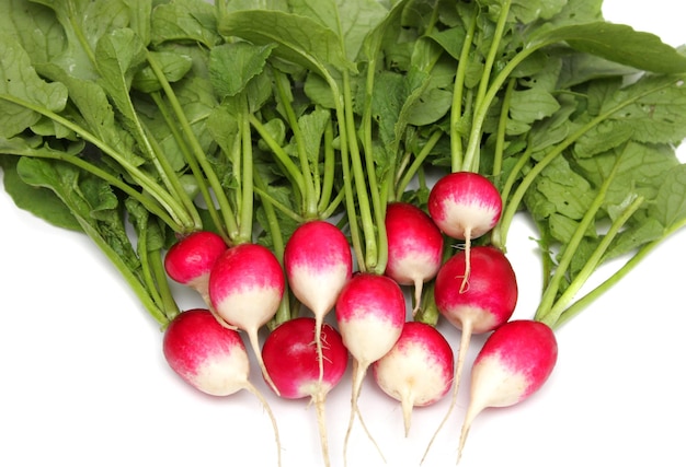 Fresh radishes on a plate