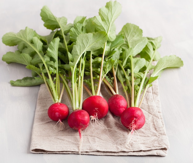 Fresh radishes with leaves over gray background