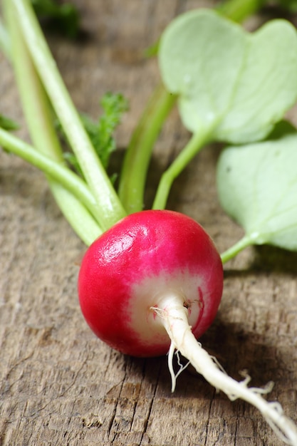 Fresh radishes on a wooden table, selective focus