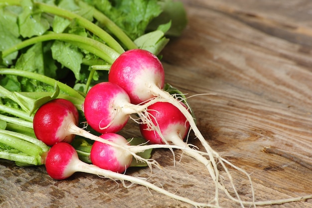 Fresh radishes on a wooden table, selective focus