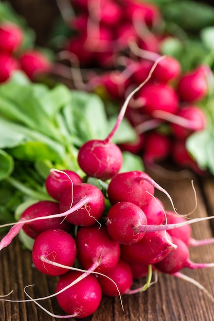 Fresh Radishes