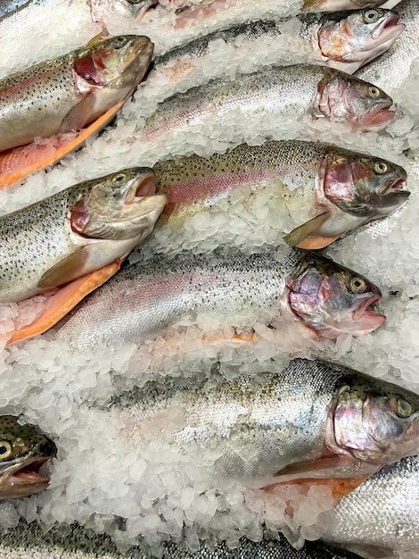 Fresh rainbow trout on the counter in the store