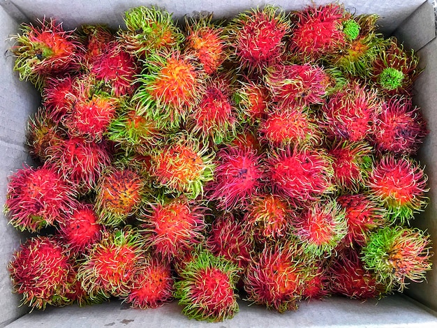 Photo fresh rambutan tropical fruit