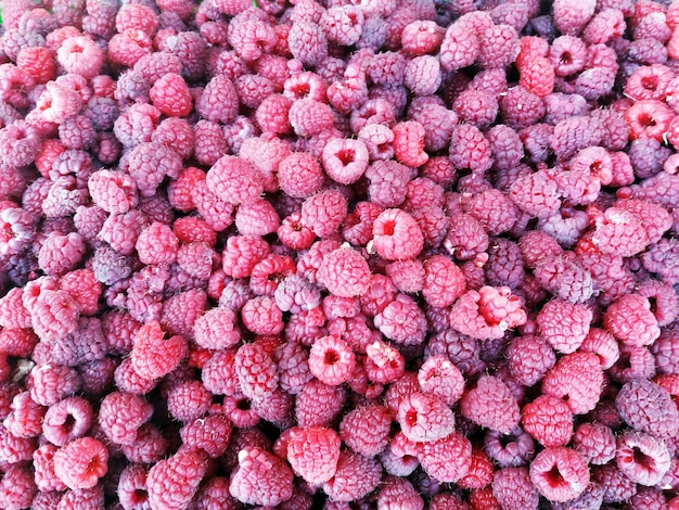 Fresh raspberries background closeup photo