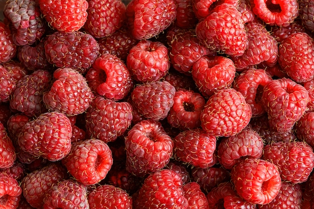 Fresh raspberries closeup photo