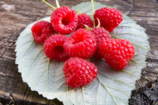 Fresh raspberries on raspberry leaf and wooden background close up