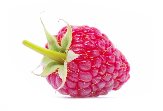 Fresh raspberry closeup isolated on white background