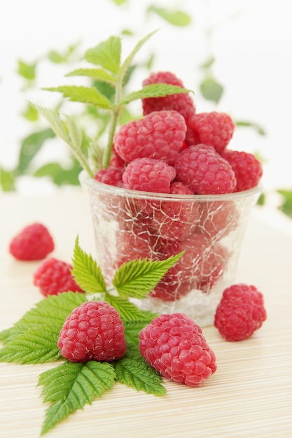 Fresh raspberry