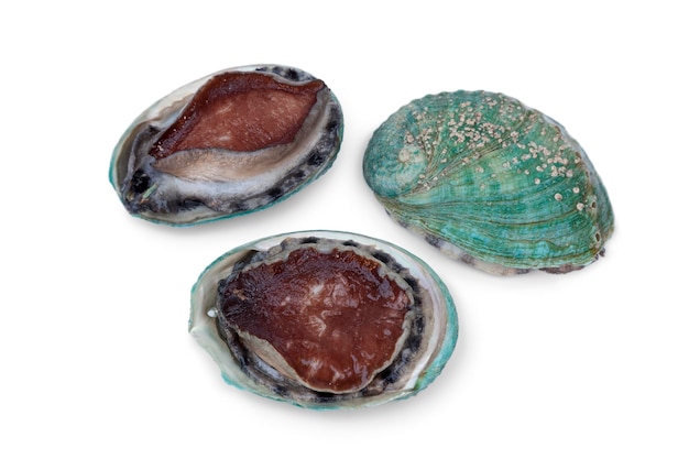 Fresh raw abalones