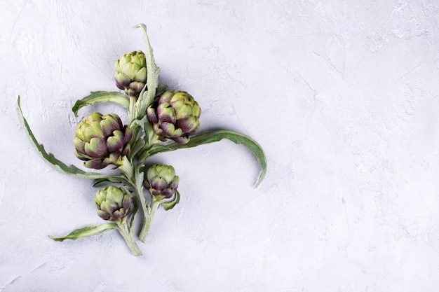 灰色の背景に新鮮な生アーティチョーク。コピースペースと熟した有機アーティチョークの花