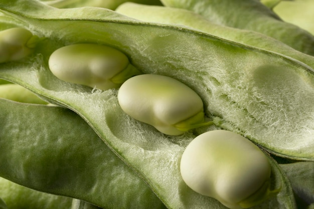 Fresh raw broad beans inside the pod