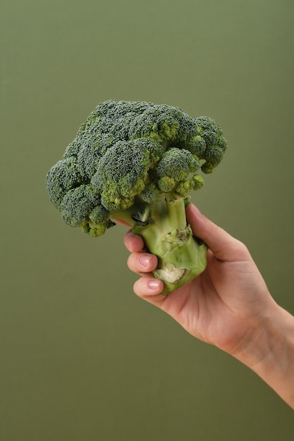 Fresh raw broccoli in hand healthy eating and vegetarianism concept