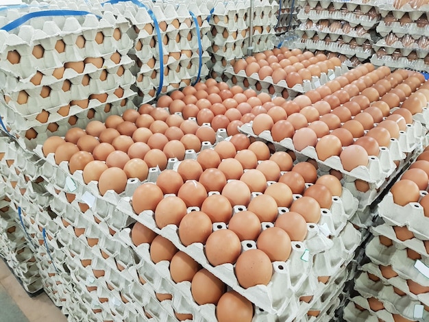 Fresh raw chicken eggs in package for sale in supermarket