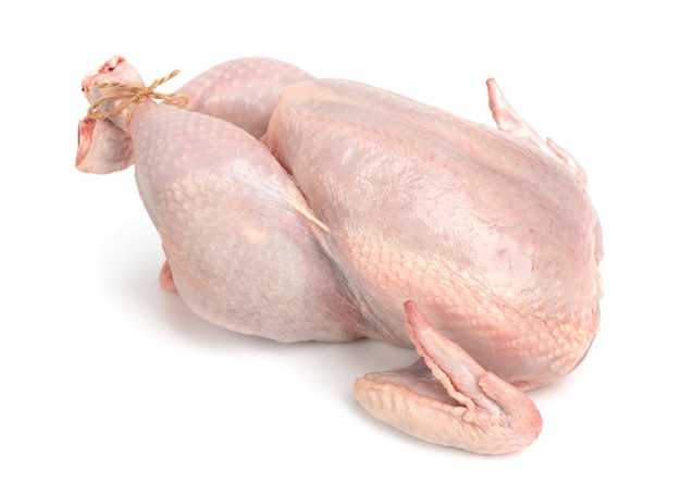 Fresh raw chicken isolated. White meat