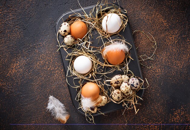 Fresh raw chicken and quail eggs in sieve