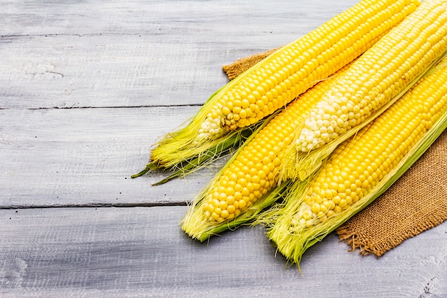 Fresh raw corn on cobs