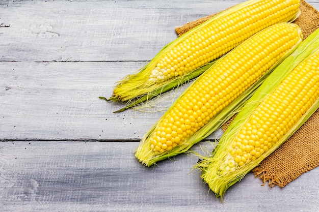 Fresh raw corn on cobs