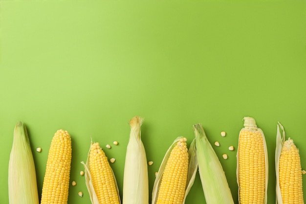 Fresh raw corn on green background, top view