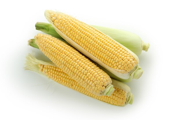 Fresh raw corn isolated on white background