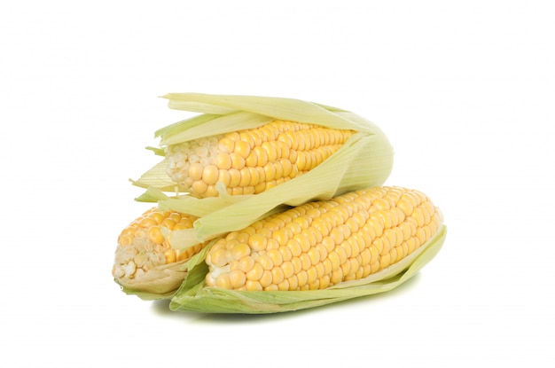 Fresh raw corn isolated