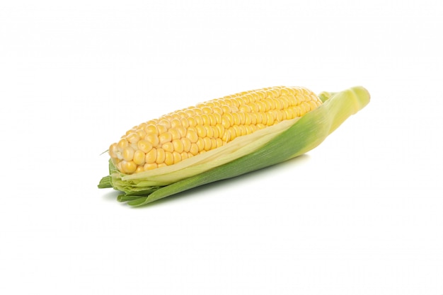 Fresh raw corn isolated