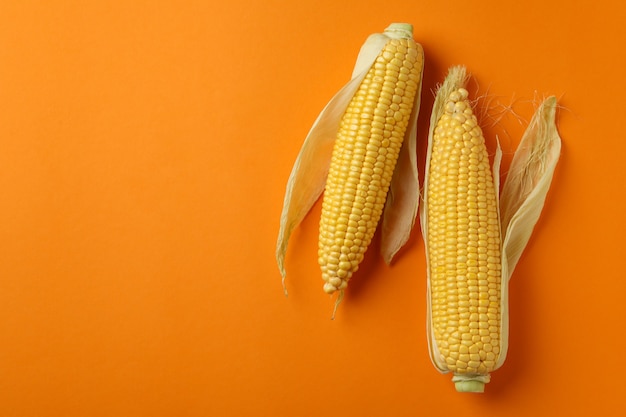 Fresh raw corn on orange background, space for text