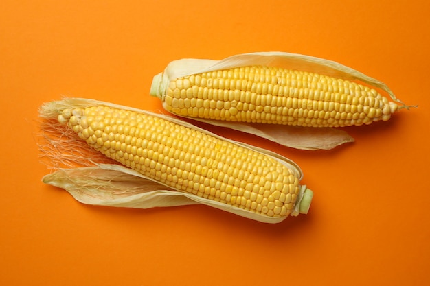 Fresh raw corn on orange background, top view