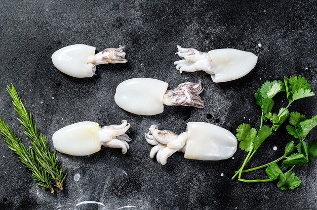 Fresh raw cuttlefish with rosemary and parsley