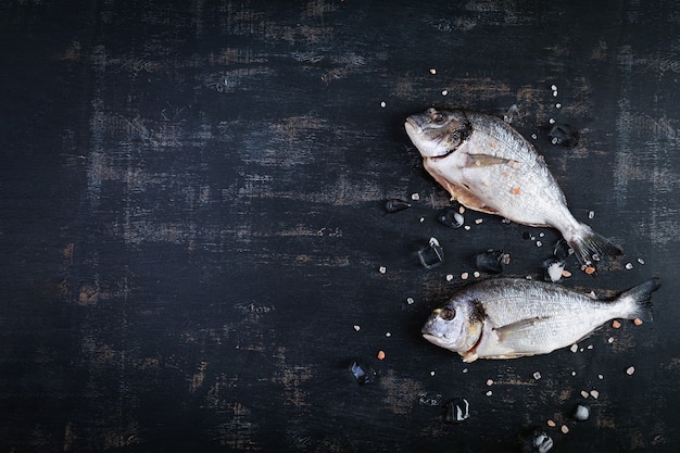 Fresh raw dorada with salt and ice on dark background