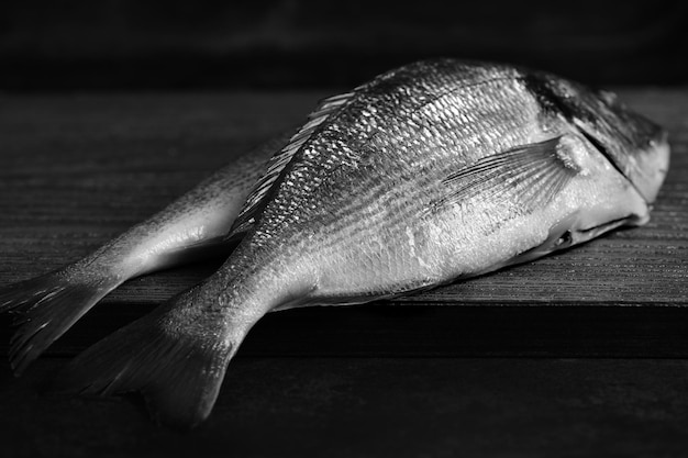 Fresh raw dorado on wooden. Black and white photo. Mockup for fish restaurant, shop or market.