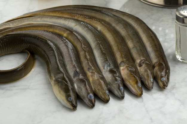 Fresh raw eels in the kitchen ready to cook close up